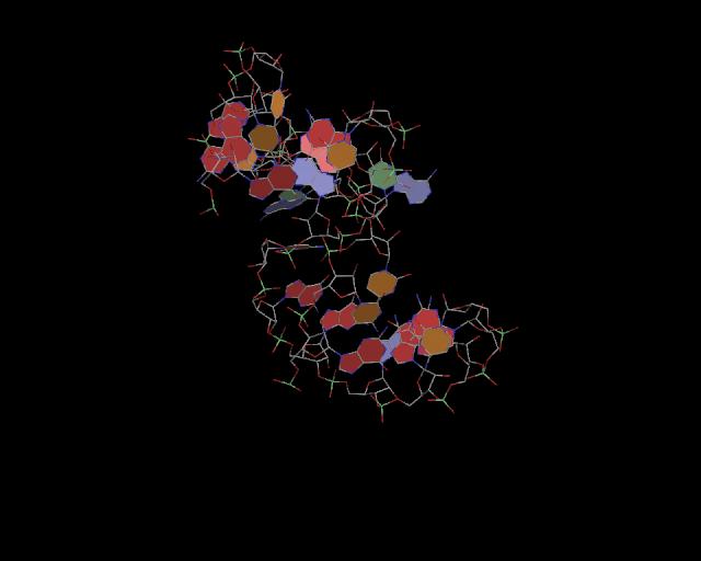 3d structure of junction